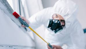 Best Residential Pest Control  in Lake Isabella, MI